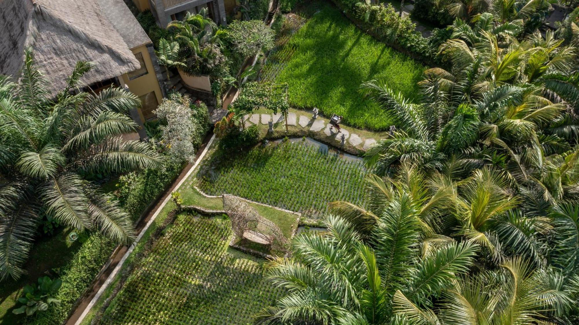 The Sankara Resort By Pramana Ubud Exteriér fotografie